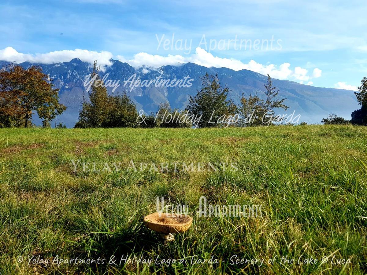 Yelay Apartments & Holiday Lago Di Garda Raffa Eksteriør billede